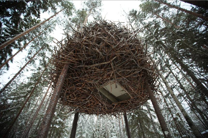 Гнездо рядом с домом. Отель Treehotel Птичье гнездо. Tree Hotel, Харадс, Швеция гнездо. Tree Hotel Швеция Птичье гнездо. Гнезда вальдхарда.