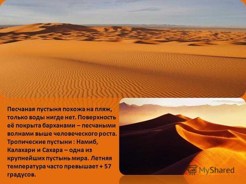 Почему в пустыне