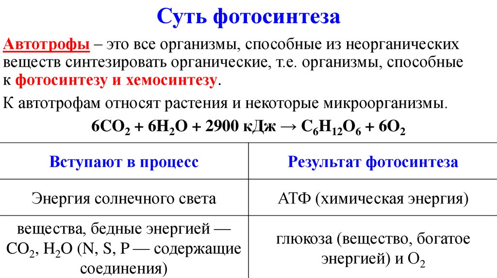 Таблица реакции фотосинтеза. Сравнительная схема процессов фотосинтеза. Фазы процесса хемосинтеза таблица. Процесс фотосинтеза реакция в химии. Этапы процесса фотосинтеза.