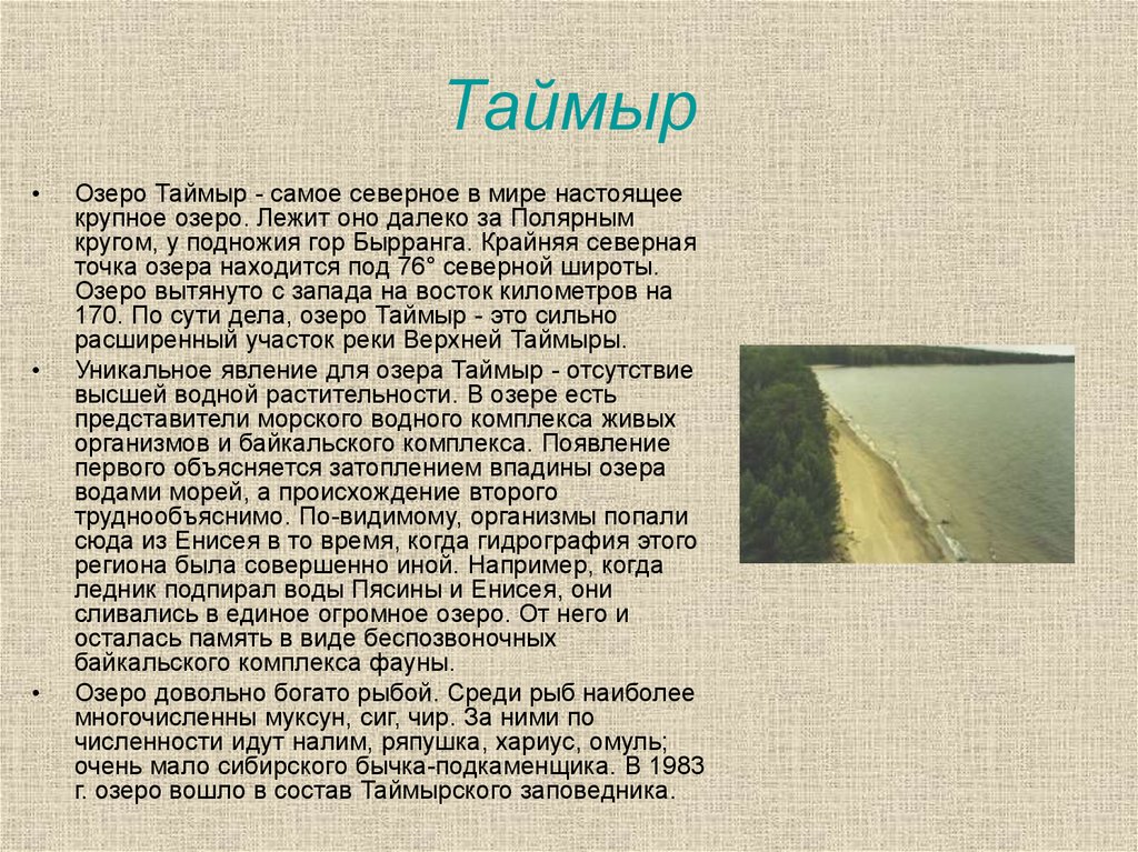 Озеро таймыр происхождение озерной котловины. Озеро Таймыр интересные факты. Озеро Таймыр доклад. Озеро Таймыр происхождение. Озеро Таймыр описание.