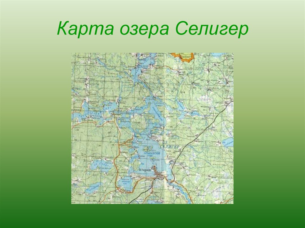 Местоположение озер. Озеро Селигер на карте России физической. Озеро Селигер на карте. Озеро Селигер на карте России. Озеро Селигер на карте России контурная карта.