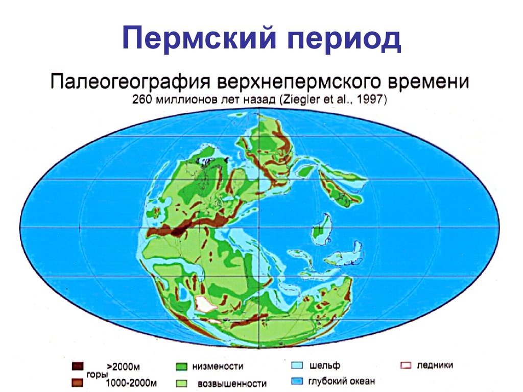 Карта периода. Пермский период палеогеография. Пермский период палеозойской эры карта. Пермский период карта. Пермский период материки.