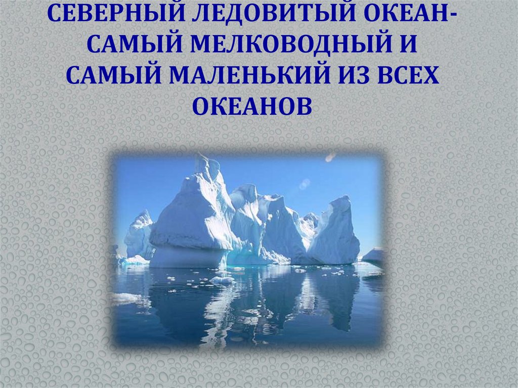 Мореплаватели северного ледовитого океана