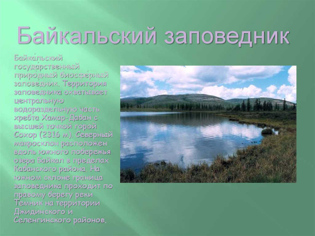 Сообщение о заповеднике. Байкальский заповедник рассказ. Байкальский заповедник презентация. Байкальский заповедник доклад. Байкальский заповедник проект.