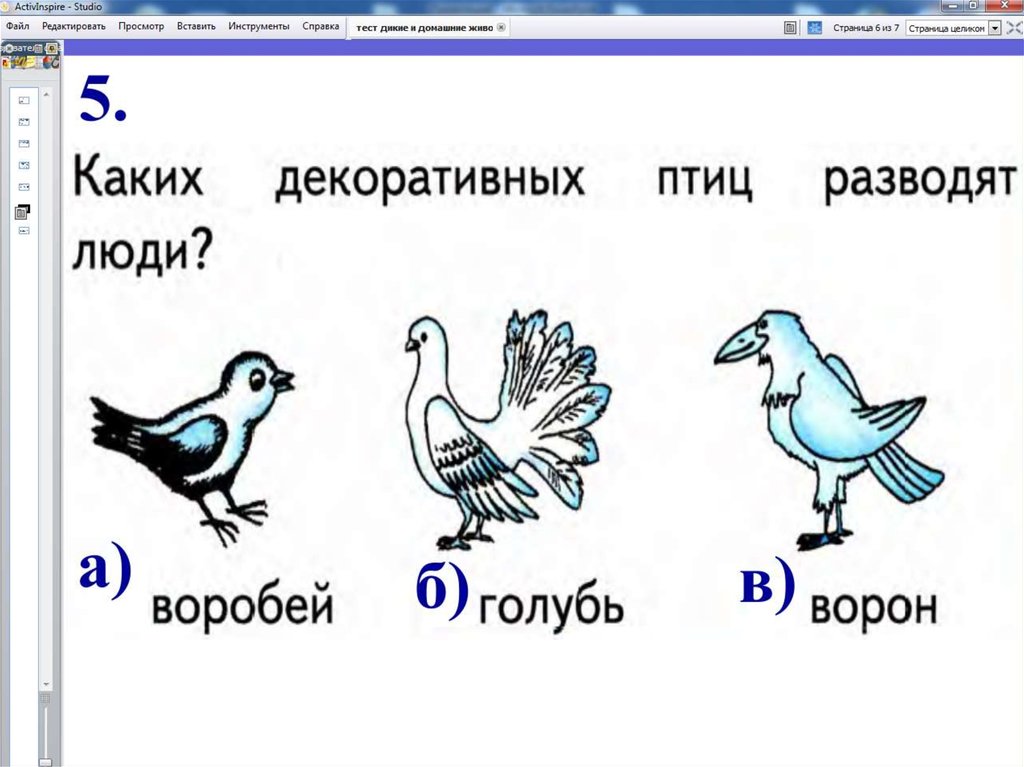 Тест животные 4 класс. Тест животные. Тест про животных с ответами. Тест про животных для детей. Тесты онлайн животные.