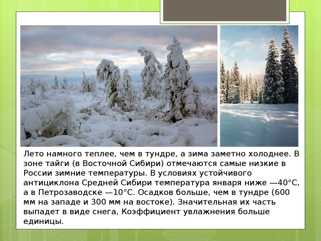 Температура января тайги в россии