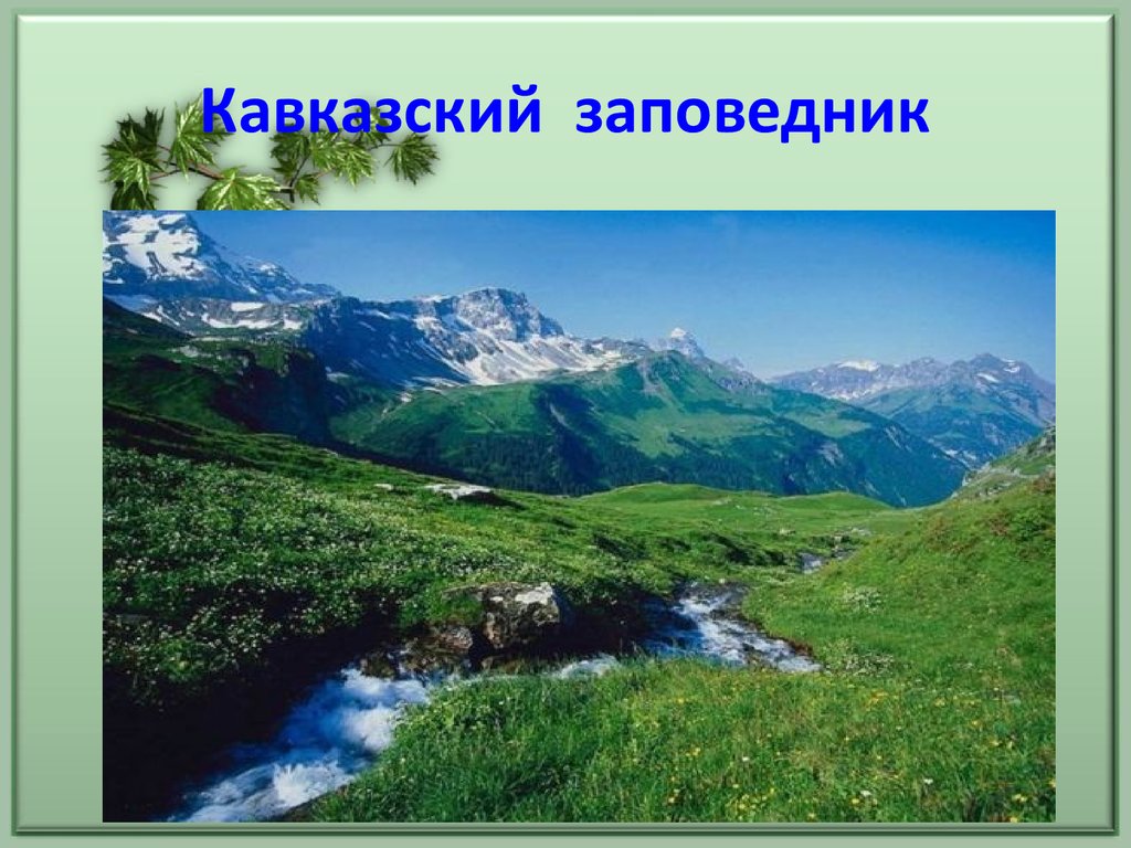 Мир краснодарский край. Кавказский заповедник Краснодарского края презентация. Заповедники Краснодарского края. Кавказский заповедник проект. Кубанские заповедники.