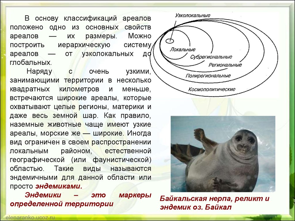 Эндемики это. Интересные факты про биогеографию. Узколокальный ареал. Ареал эндемиков. Эндемики примеры.