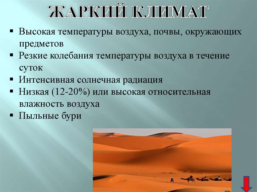 Жаркого климата влажного. Жаркий климат характеристика. Акклиматизация в условиях жаркого климата. Характеристика жаркого климата. Адаптация к жаркому климату.