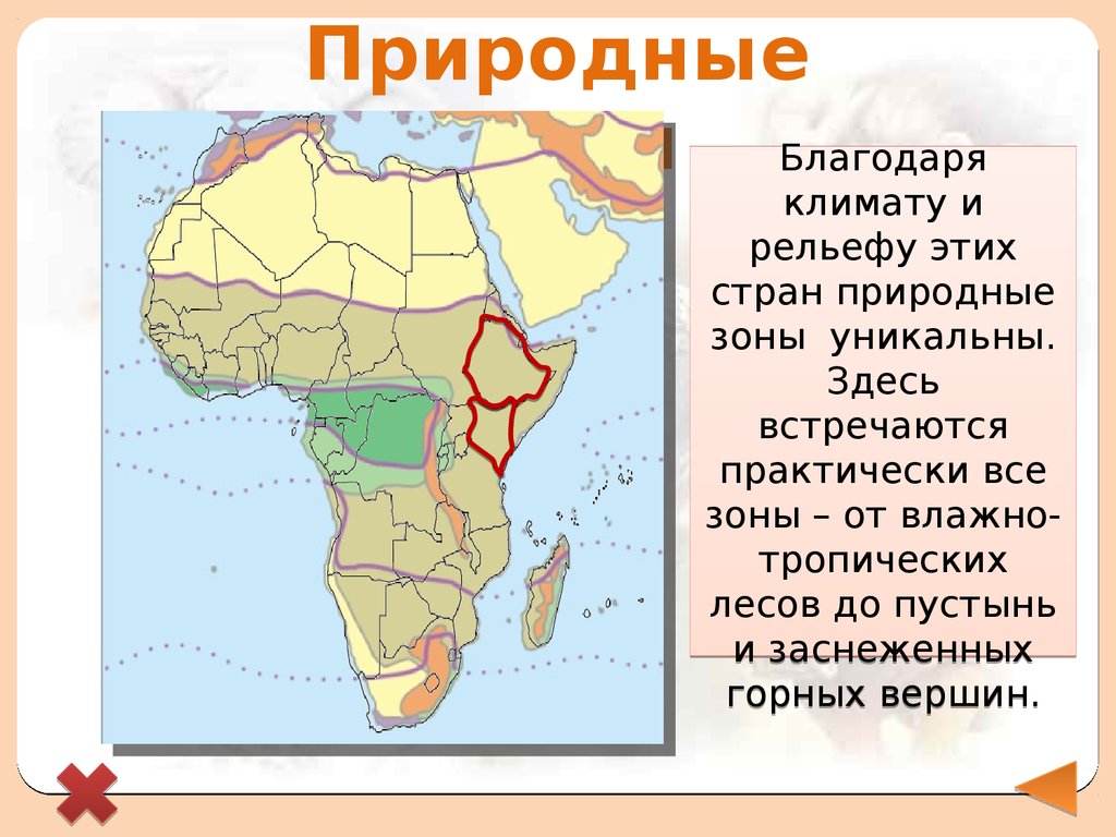 Природные зоны египта и их основные особенности. Природные зоны Восточной Африки. Страны Восточной Африки. Природные зоны Эфиопии на карте. Карта природных зон Африки.
