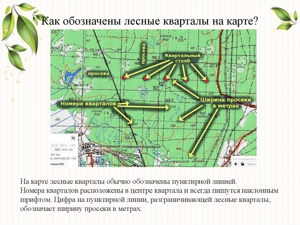 Карта кварталов леса. Лесной квартал. Обозначение лесного квартала. Обозначение лесного квартала на карте.