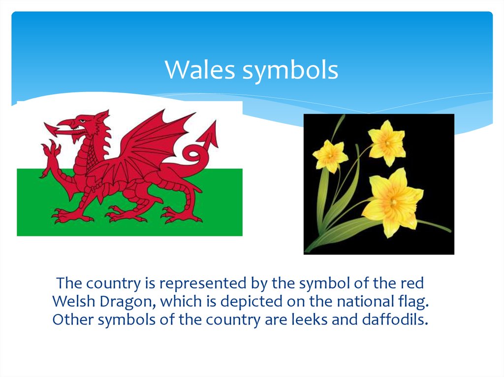 The national symbol of england is