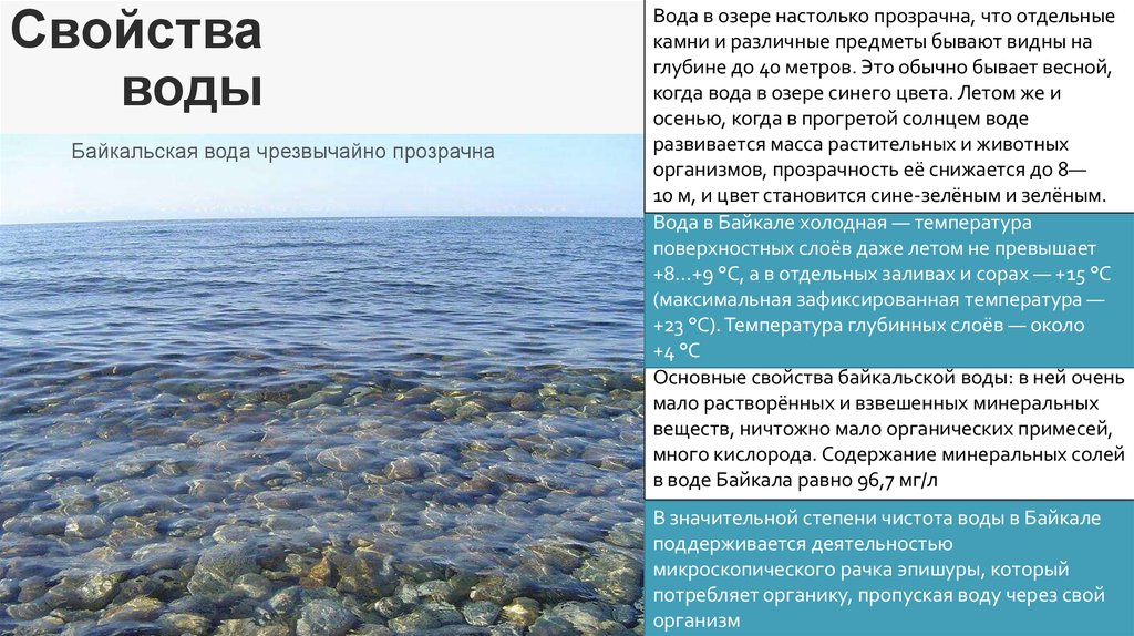 В верхнем слое воды обитает больше. Характеристика воды. Свойство воды прозрачность. Характеристика воды Байкала. Уникальность Байкальской воды.