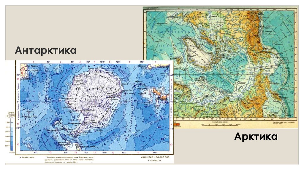 На каком полюсе арктика. Антарктида Арктика Антарктика разница. Антарктика и Антарктида на карте. Арктика и Антарктида на карте мира. Арктика и Антарктика на карте.