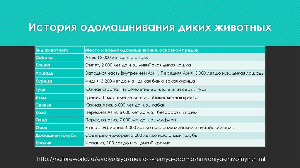 Происхождение одомашнивания животных. История одомашнивания животных. Центры одомашнивания животных. Последовательность одомашнивания животных. Виды одомашнивания.