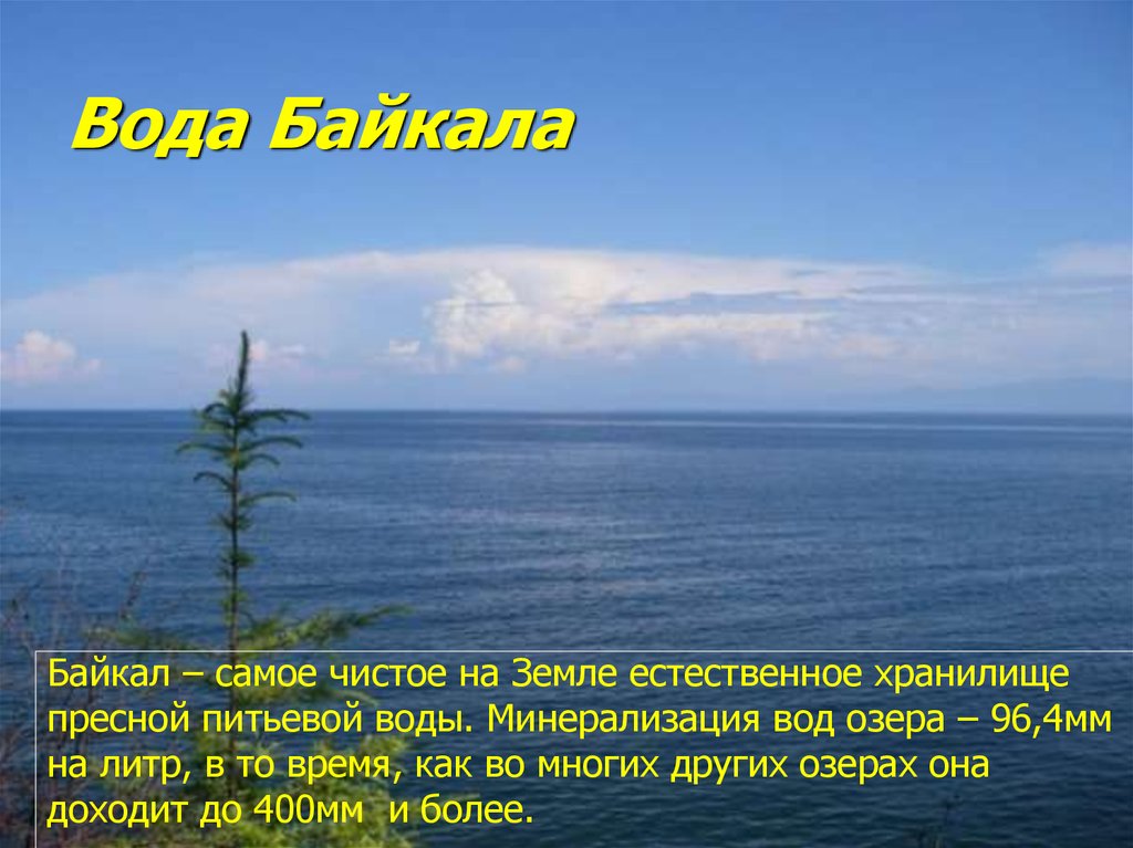 Можно пить воду из байкала. Вода Байкал. Байкал самое чистое на земле естественное хранилище пресной воды. Вода Байкала вода. Минерализация вод озера Байкал.