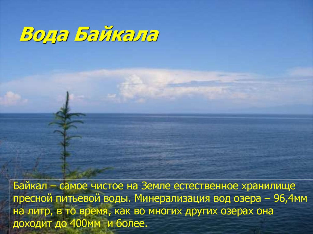 Какая вода в байкале. Байкал самое чистое на земле естественное хранилище пресной воды. Байкал самое естественное хранилище. Озеро Байкал температура воды. Температура воды в Байкале.