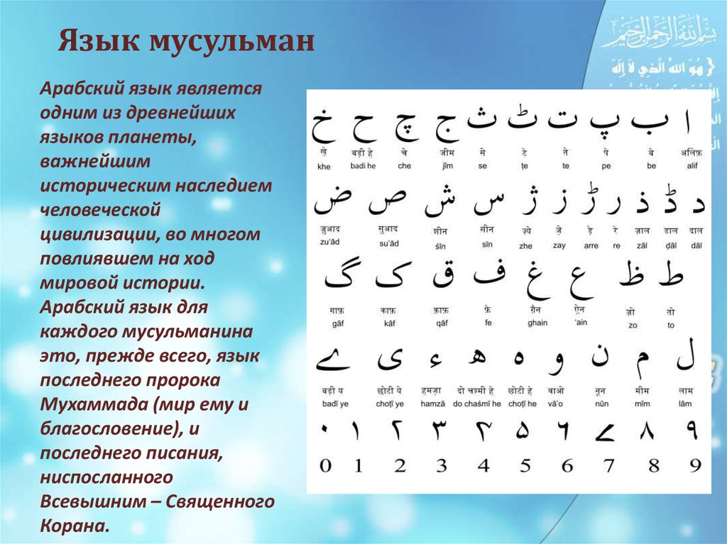 Что означает слово персидского. Арабский язык. Выучить арабский язык. Мусульманский язык. Арабские слова для начинающих.