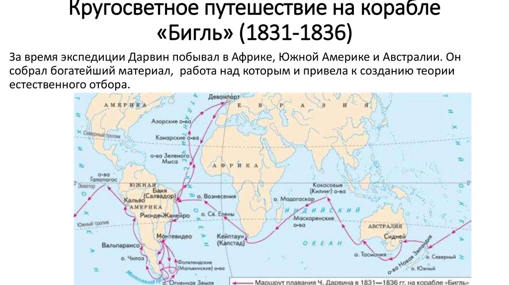 Дата кругосветного путешествия. Путешествие Чарльза Дарвина на корабле Бигль маршрут. Путь Дарвина на корабле Бигль.