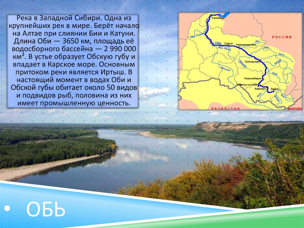 Какая крупная река. Крупные реки Западной Сибири. Крупнейшие реки Западной Сибири. Самая большая река Западной Сибири. Крупная реки забюпадносибирской.