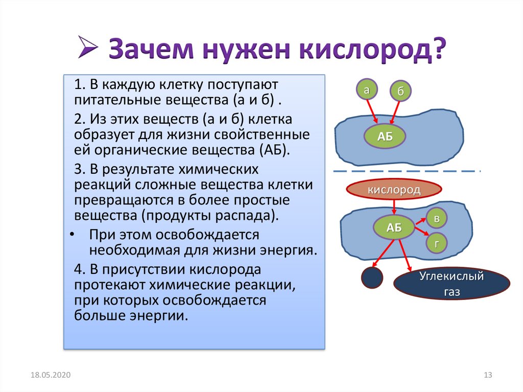 Кислород для человека