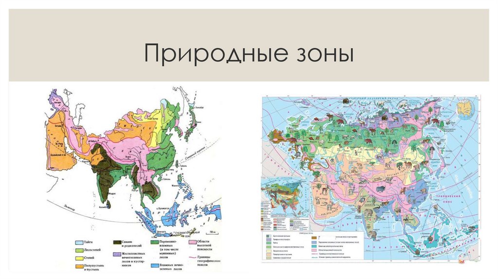 Природные зоны китая. Природные зоны Китая карта. Основная природная зона Китая. Природные зоны карта КНР. Карта природных зон Азии.