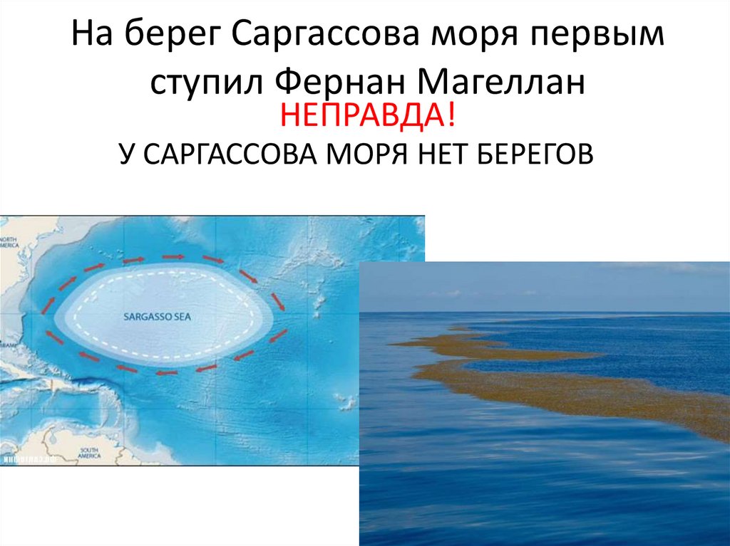 Какое название имеет море без берегов. Саргассово море. Море без берегов. Саргассово море берег. Саргассово море без берегов.