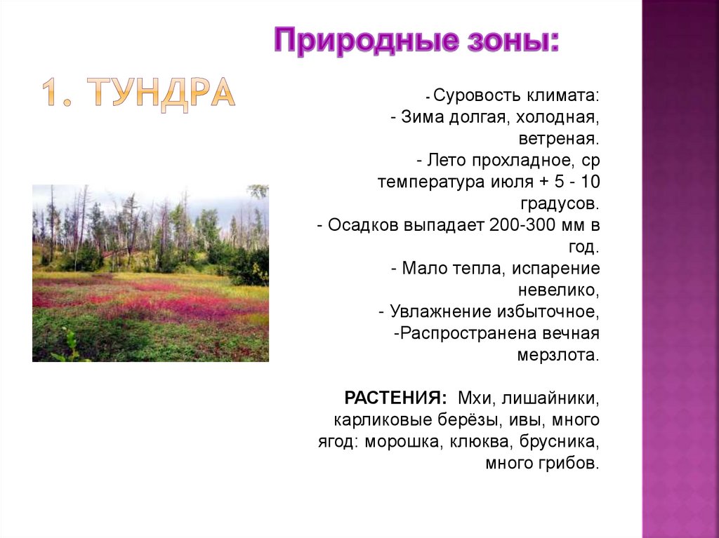 Растительный и животный мир западно сибирской равнины. Природные особенности Западной Сибири. Таежная Лесоболотная зона. Особенность Вологода. Лесоболотная зона большое Каюкова буклет.