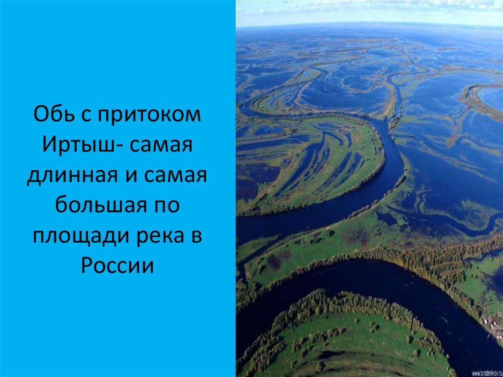 Какие крупные реки на западно сибирской равнине. Западно Сибирская равнина Обь. Западная Сибирь Обь Иртыш. Реки Западно сибирской равнины. Обь самая длинная река России.