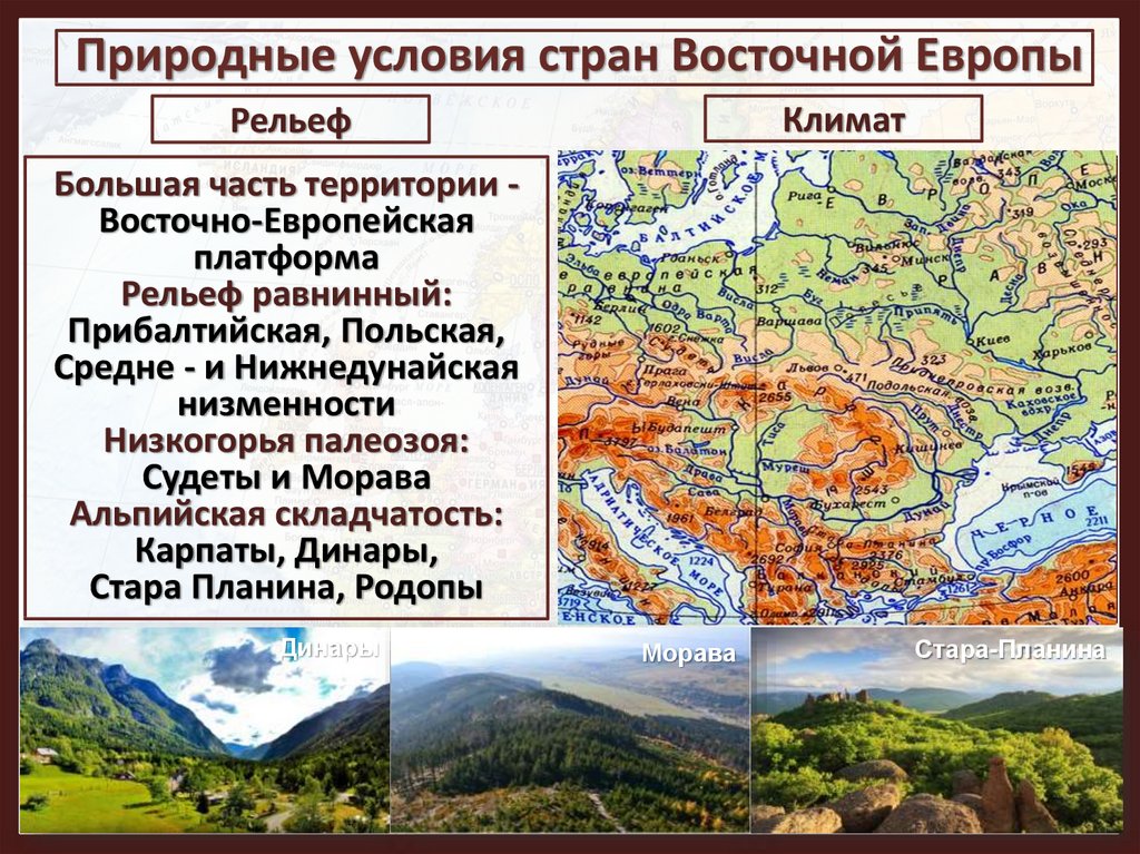 Рельеф климат природные зоны европейского юга. Рельеф Восточной Европы. Климат Восточной Европы. Страны Восточной Европы ресурсы. Природные условия Восточной Европы.