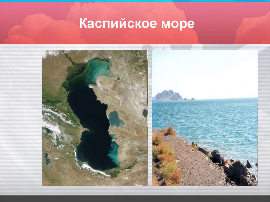 Каспийское море природная зона. Каспийское море рисунок. Каспийское озеро. Каспийское море соленое или нет.