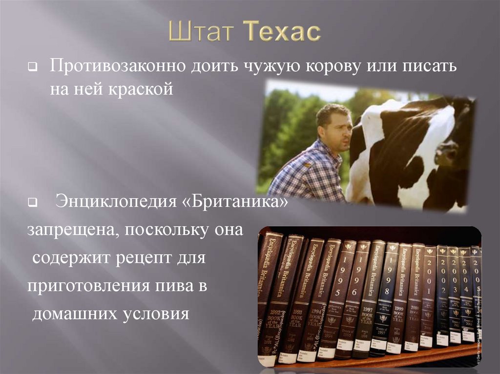 Законы сша. Смешные законы США по Штатам. Странные законы в Америке. Самые странные законы США. Дурацкие законы США по Штатам.