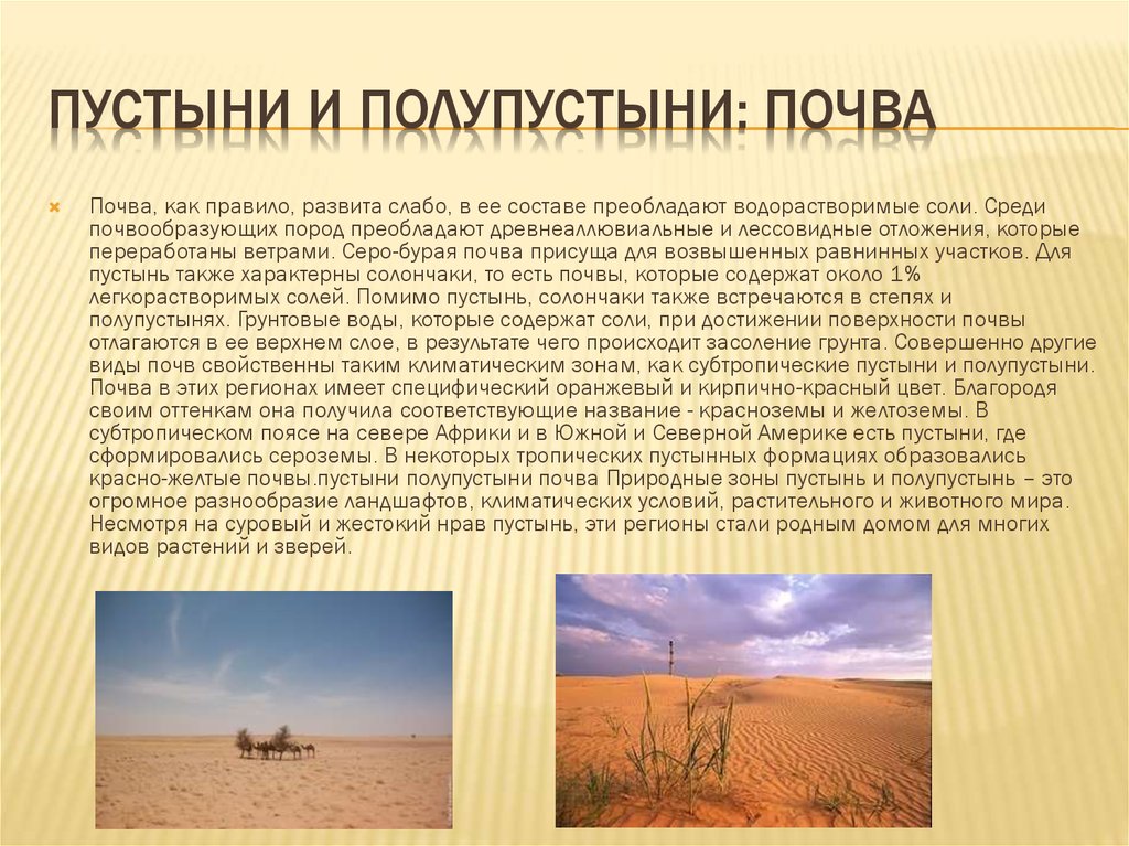 Средняя температура июля в полупустынях. Полупустыни и пустыни почвы. Пояс пустыни и полупустыни в России.