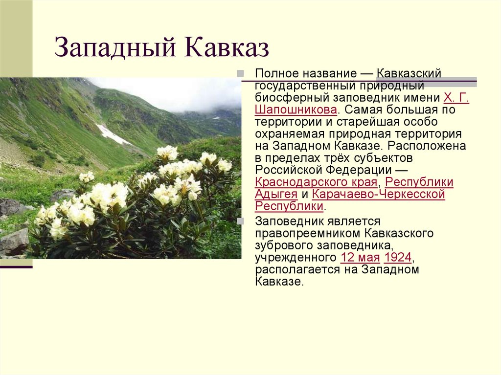 Кавказ кратко. Природное наследие России Западный Кавказ. Объекты Всемирного природного наследия России Западный Кавказ. Западный Кавказ объект Всемирного наследия сообщение. Краткая характеристика Западный Кавказ.