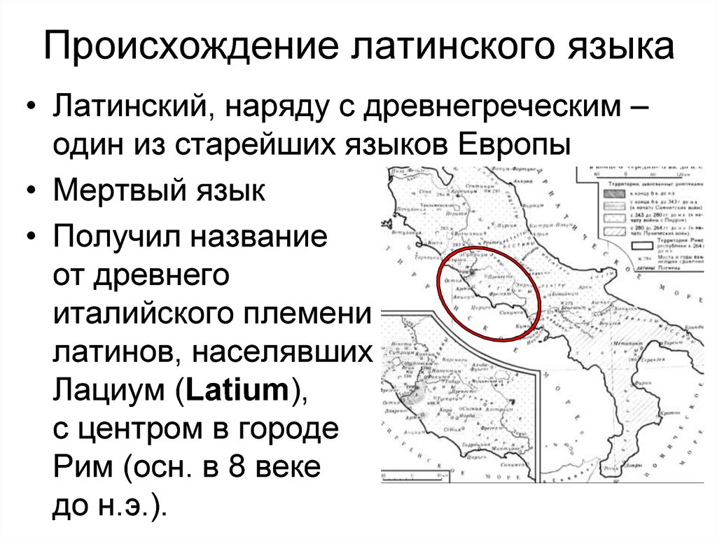 Какое латинское слово происходит