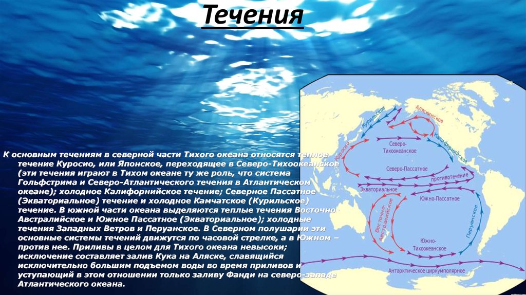 Направление течения рыбы определяют. Течения Тихого океана 7 класс. Течение Куросио, перуанское течение. Течения Северной части Тихого океана. Поверхностные течения Тихого океана.