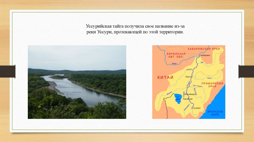 Какая река протекает в уссури. Уссурийская Тайга река Уссури. Река Уссури на карте Приморского края. Притоки реки Уссури Приморского края. Бассейн реки Уссури на Дальнем востоке.