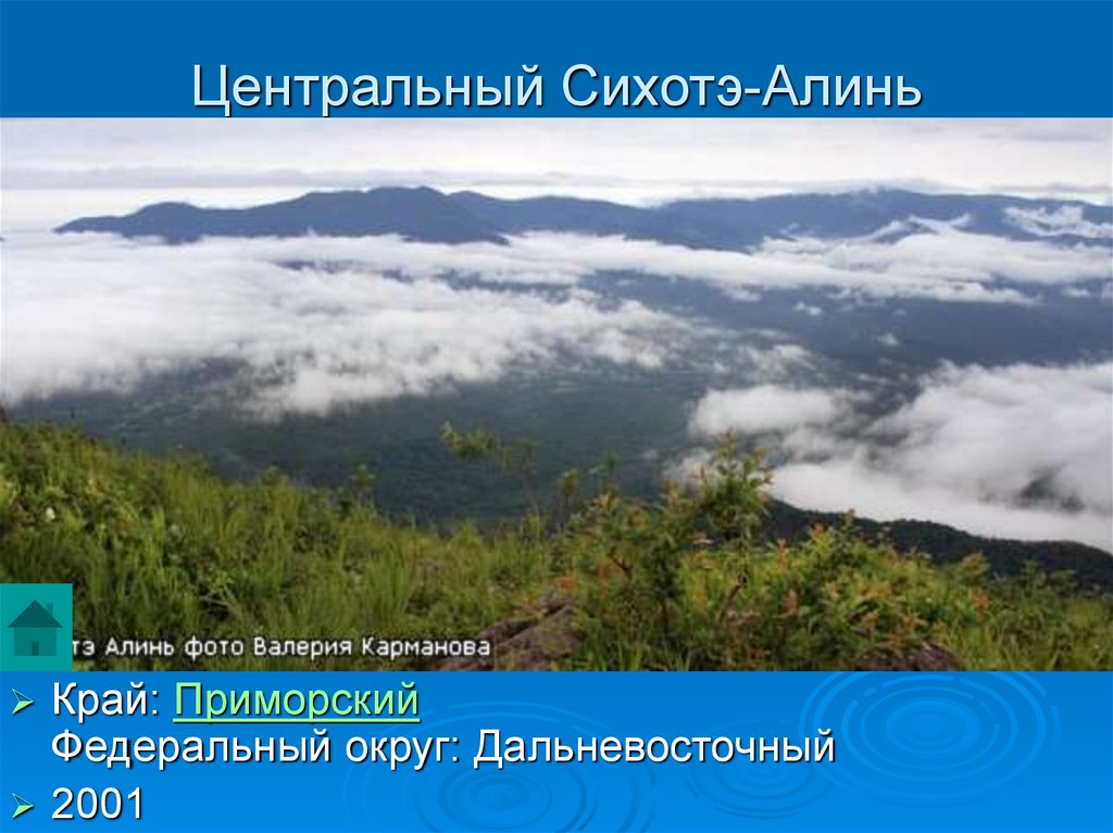 Сихотэ алинь где находится на карте. Преобладающая высота Сихотэ Алинь. Средняя высота Сихотэ Алинь. Средняя высота хребта Сихотэ Алинь. Сихотэ Алинь эпоха горообразования.