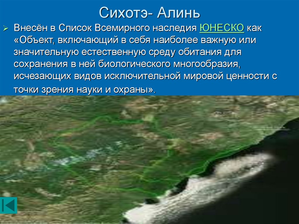 Сихотэ алинь где находится на карте. Объекты Всемирного наследия Центральный Сихотэ-Алинь. Хребет Сихотэ Алинь презентация. Центральный Сихотэ Алинь объект Всемирного природного наследия. Хребет Сихотэ-Алинь на карте.