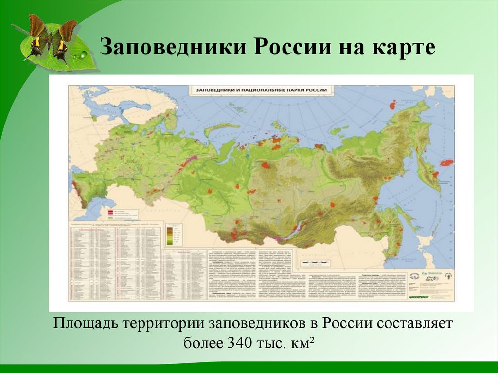 В какой природной зоне расположена республика башкортостан