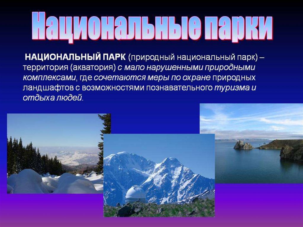 Национальный парк презентация. Национальные парки это определение. Национальные парки России презентация. Проект национальные парки. Национальные паркитпризентаци.