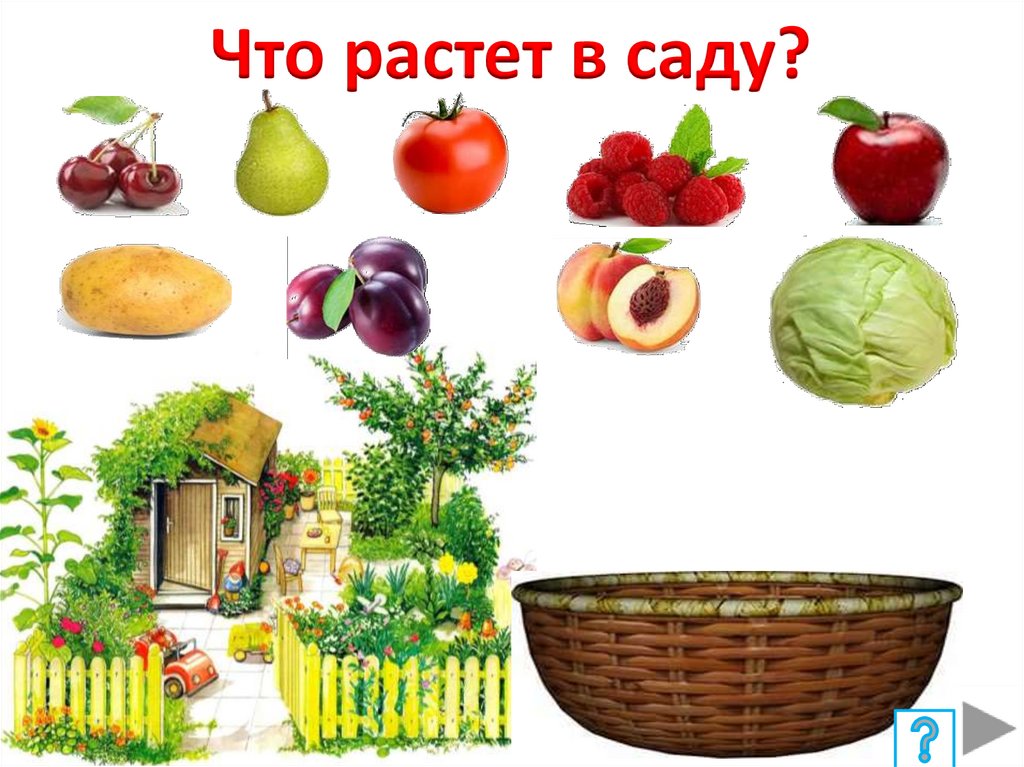 В саду росло 7. Что растет в саду. Игра что растет в саду. Что растет в саду для детей. Картинка что растет в саду.