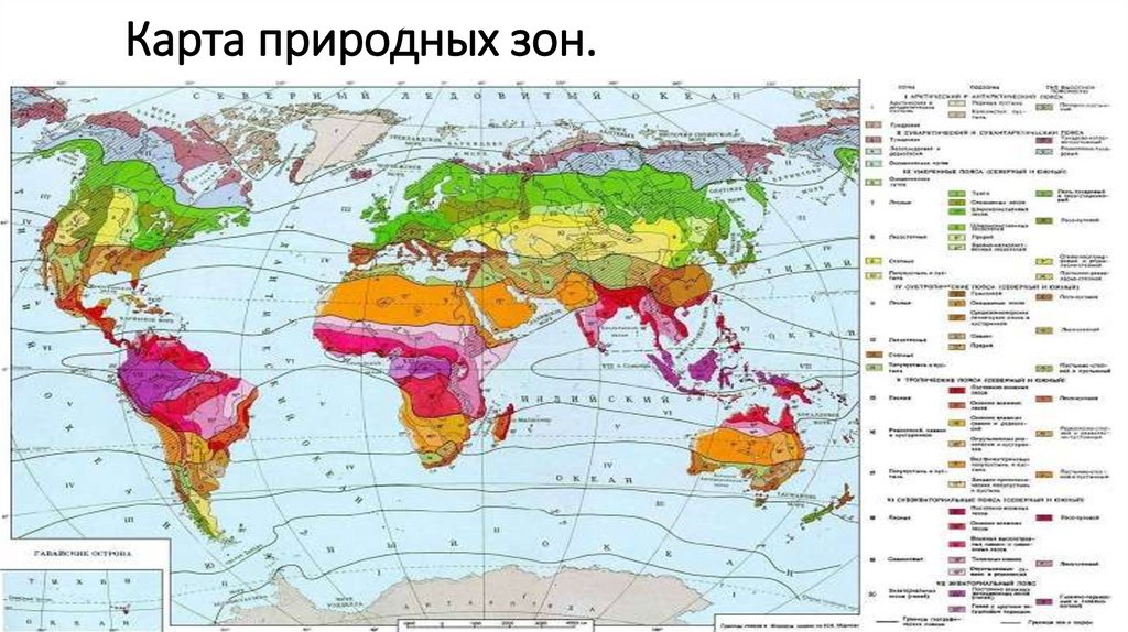 Натуральная карта. Природные зоны мира. Карта природных зон мира. Географические зоны мира. Континенты и природные зоны.