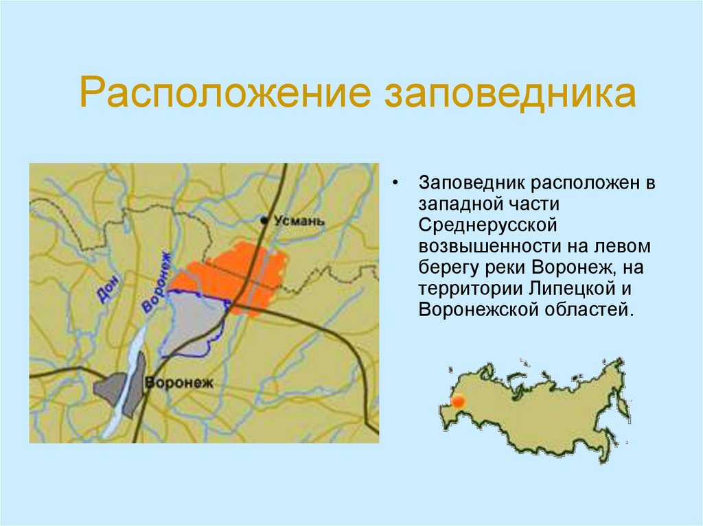 Заповедник расположен. Воронежский заказник и Воронежский заповедник на карте. Воронежский заповедник Липецкая область. Заповедная территория Воронежский заповедник. Воронежский заповедник расположен.