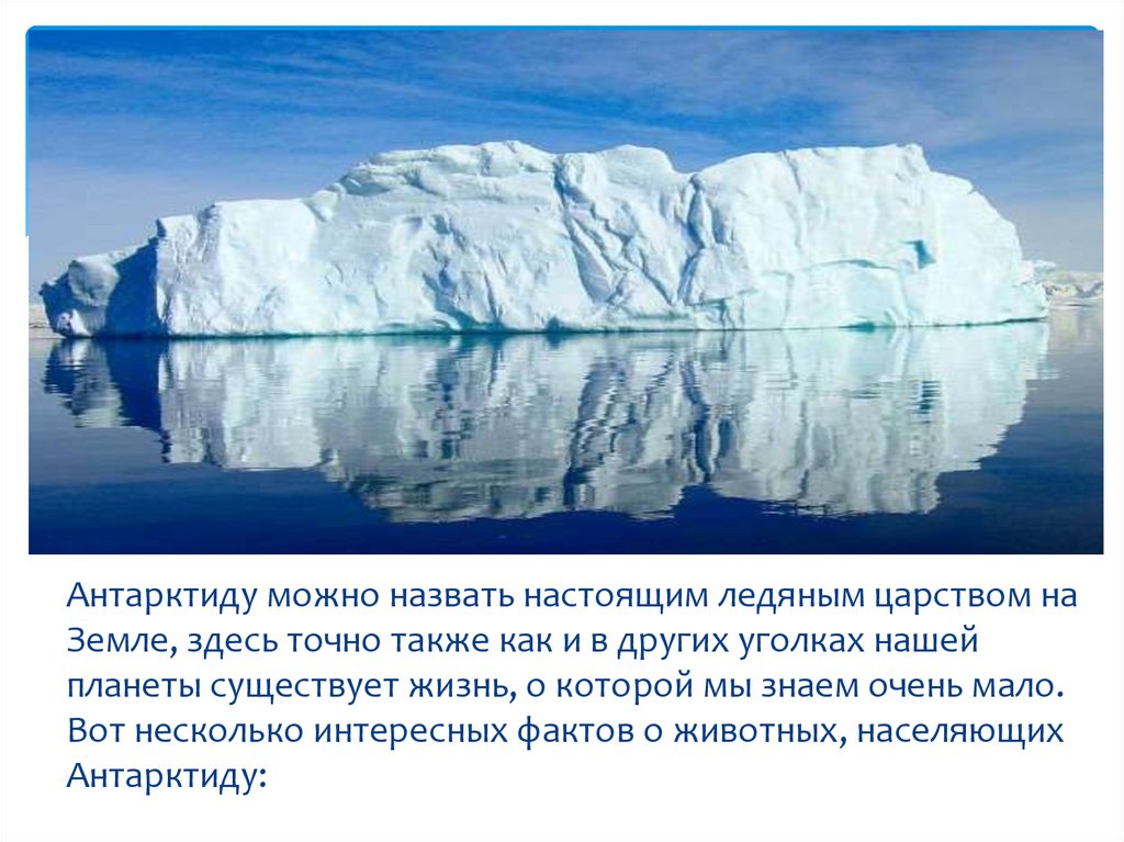 Антарктика сообщение. Антарктида презентация. Интересные сведения о Антарктиде. Антарктида интересные факты о материке. Антарктида материк презентация.