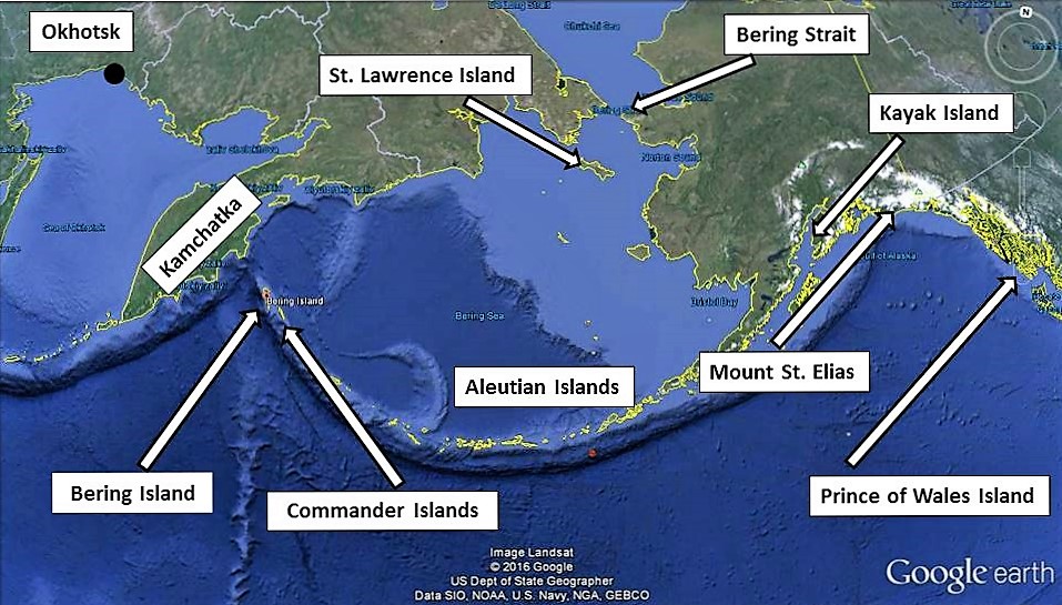 Где находится берингов. Берингов пролив Берингово море Командорские острова. Берингов пролив и Командорские острова на карте. Где находится Берингов пролив на карте. Берингов остров на карте.