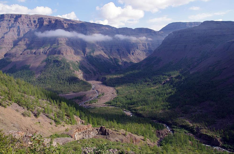 Среднесибирское плоскогорье леса