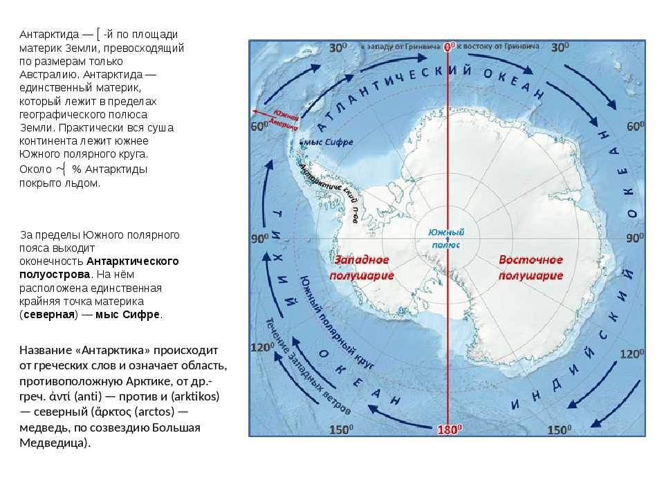 Материк антарктида находится в полушариях