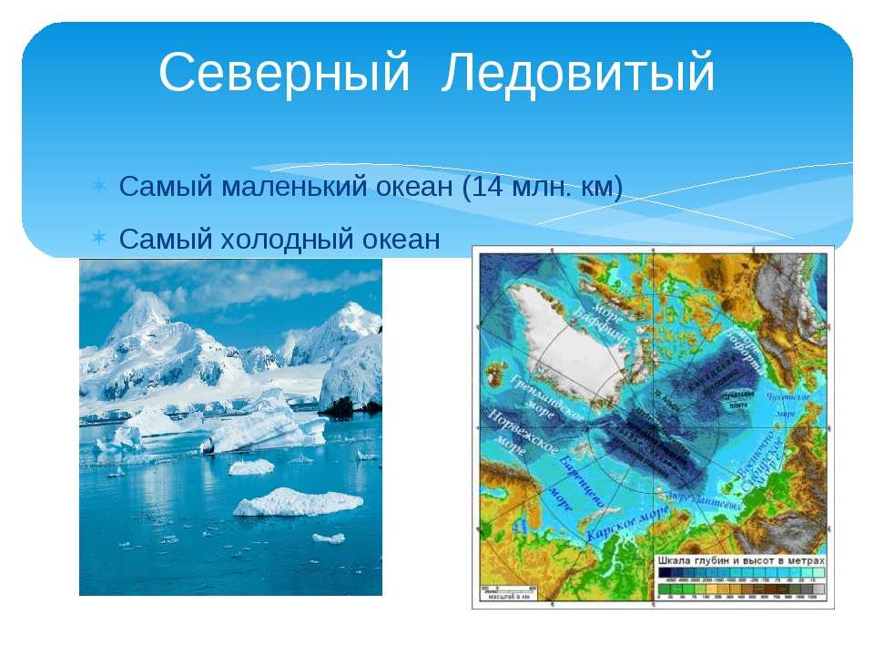 Самый холодный океан. Северный Ледовитый океан самый маленький и холодный океан. Северный Ледовитый океан самый. Северного Ледовитого океана самый холодный. Части мирового океана картинки.