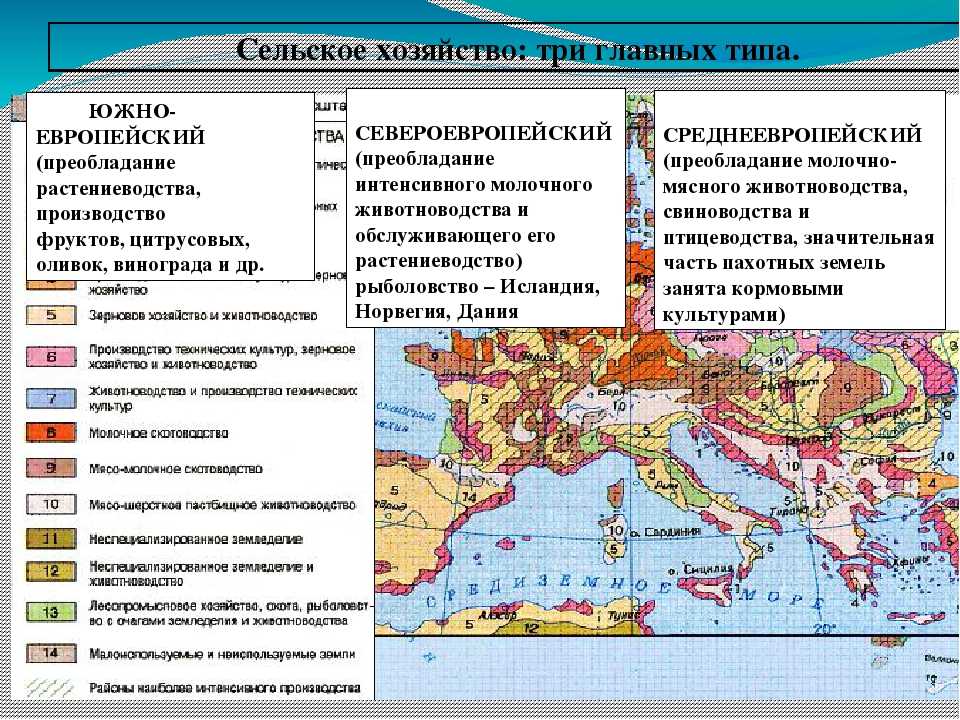 Для населения европы характерно. Хозяйство зарубежной Европы карта. Ведущие отрасли сельского хозяйства зарубежной Европы. Специализация сельского хозяйства зарубежной Европы. Сельское хозяйство зарубежной Европы карта.